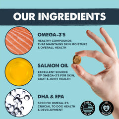 Mighty Paw Mighty Omega: aceite de salmón para piel suave.