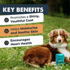 Mighty Paw Mighty Omega: gomitas suaves para pelaje sano.