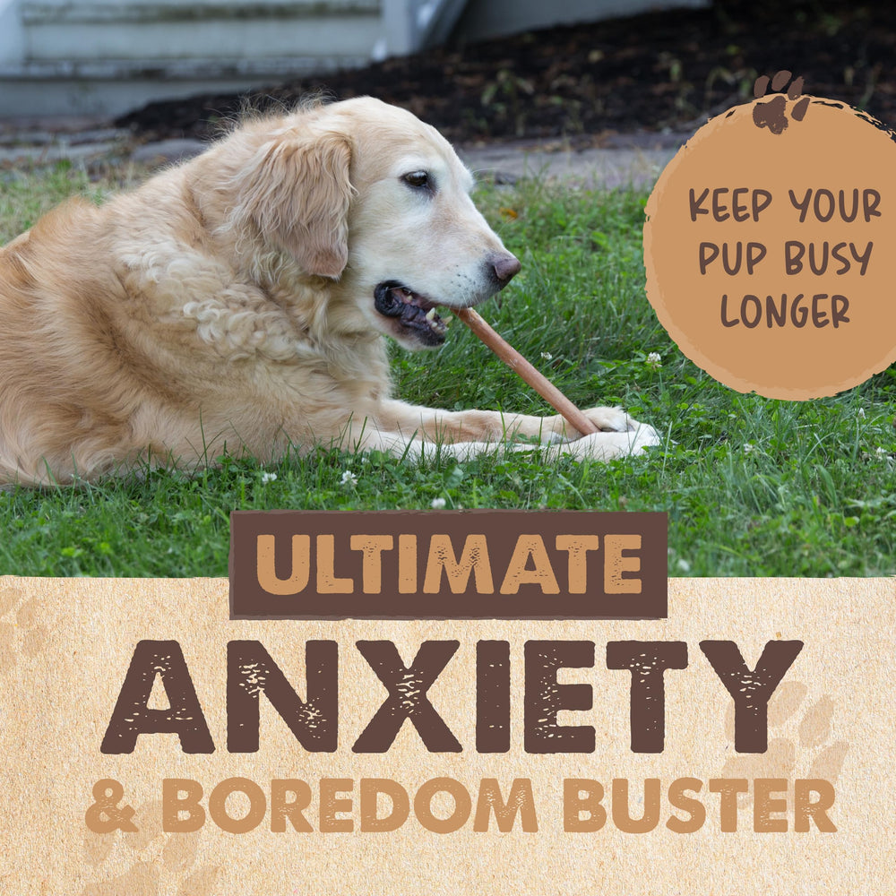 Ingrediente único de res, Mighty Paw Naturals, snack natural para perros.