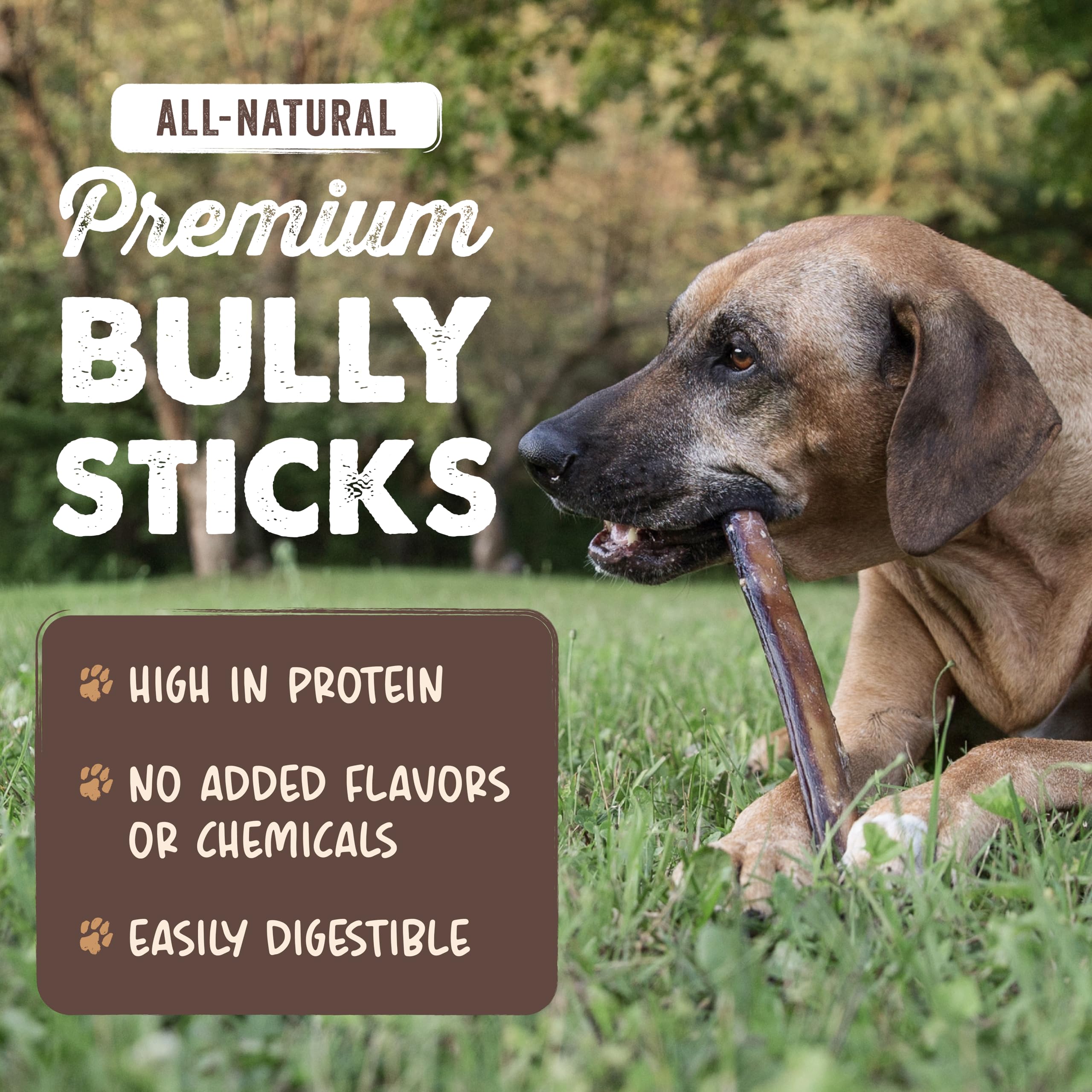 Mighty Paw Naturals, palitos para perros pequeños y medianos, ayudan a mantener ocupados.