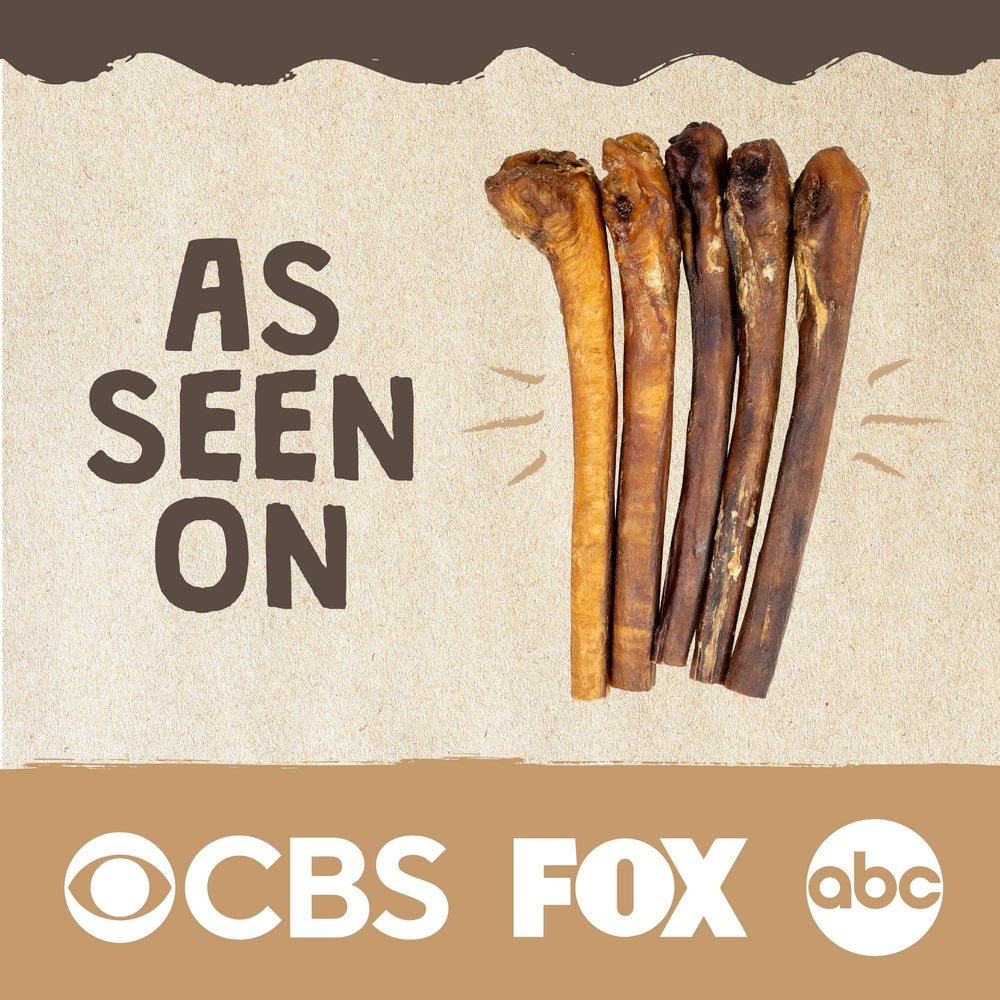 Mighty Paw Naturals Bully Sticks: para perros que muerden fuerte, dentales y satisfactorios.