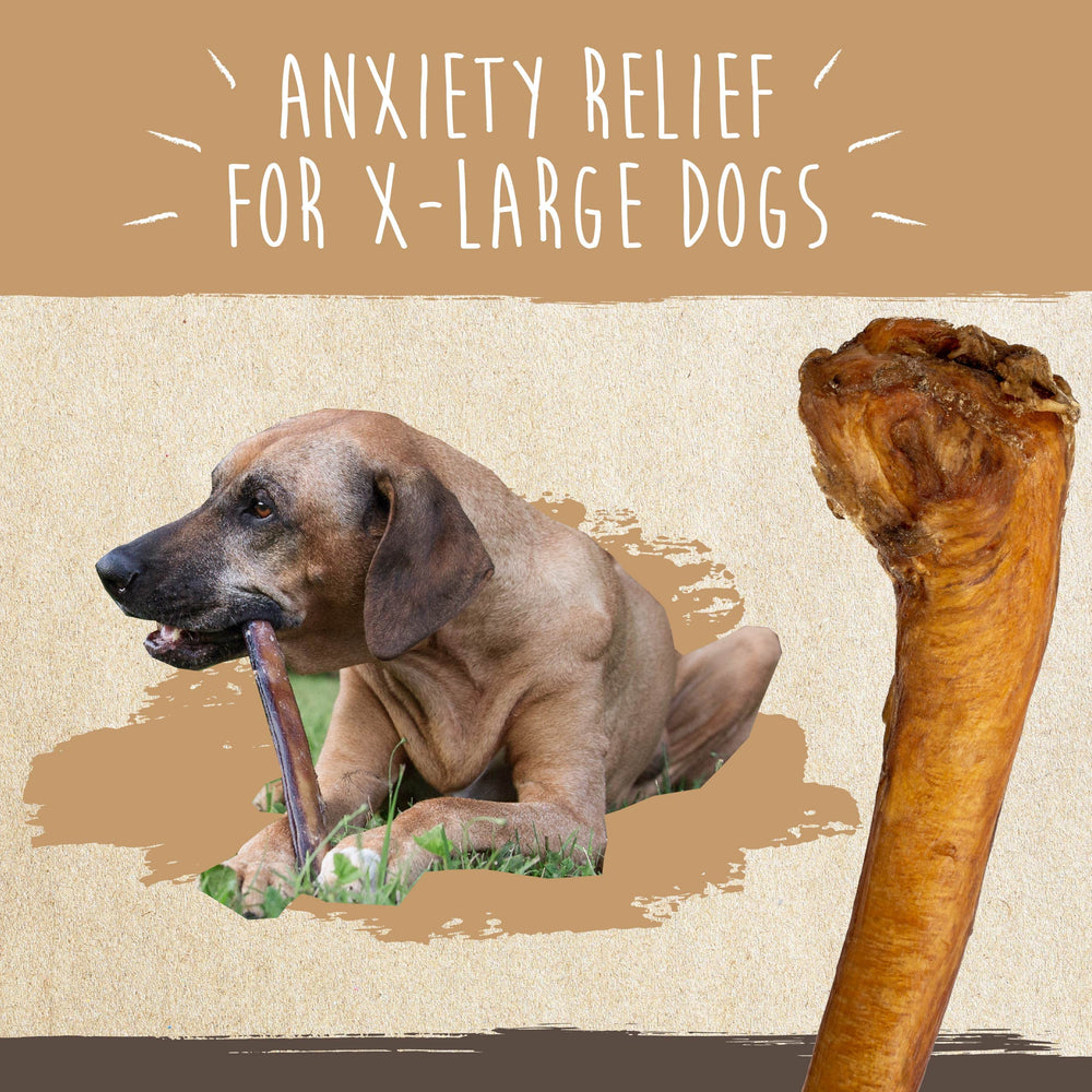 Mighty Paw Naturals Bully Sticks: empresa con sede en EE. UU. y soporte dedicado.