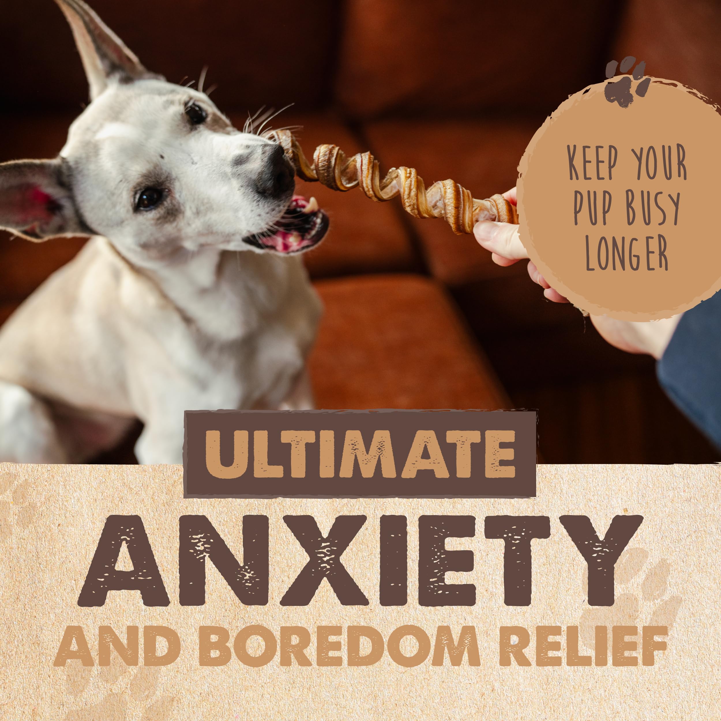 Mighty Paw Naturals Curly Bully Sticks, cuidado dental al masticar para perros.