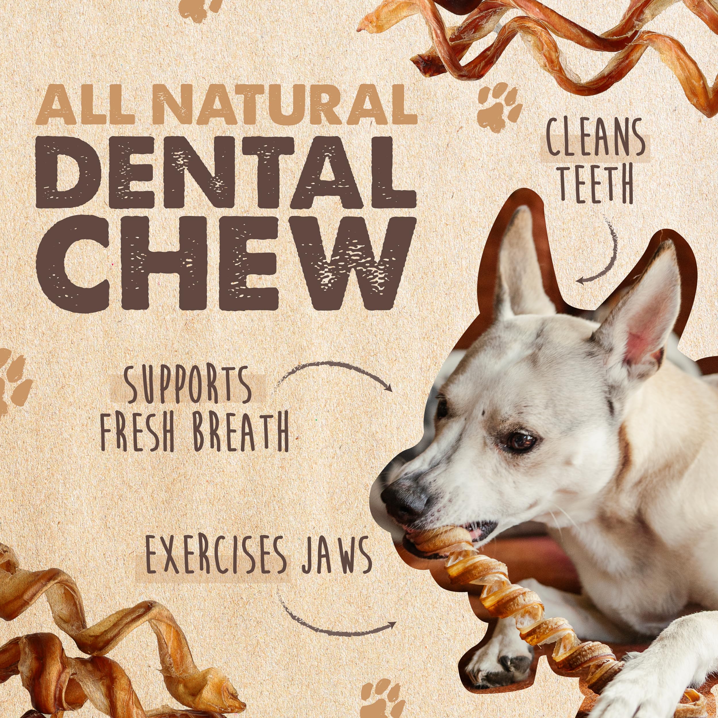 Mighty Paw Naturals Curly Bully Sticks, perro masticando, promueve entretenimiento.