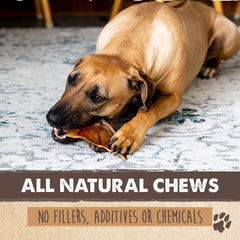 Mighty Paw orejas de cerdo para perros sin aditivos añadidos
