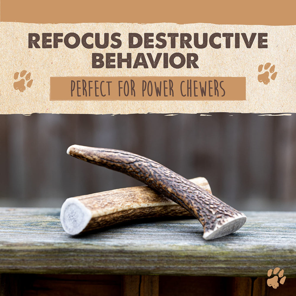 Mighty Paw uso diario para perros agresivos, reduce el aburrimiento al masticar.