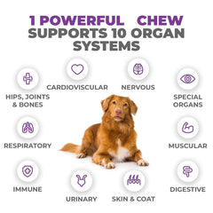 Mighty Petz MAX: probióticos para salud digestiva y confort estomacal.
