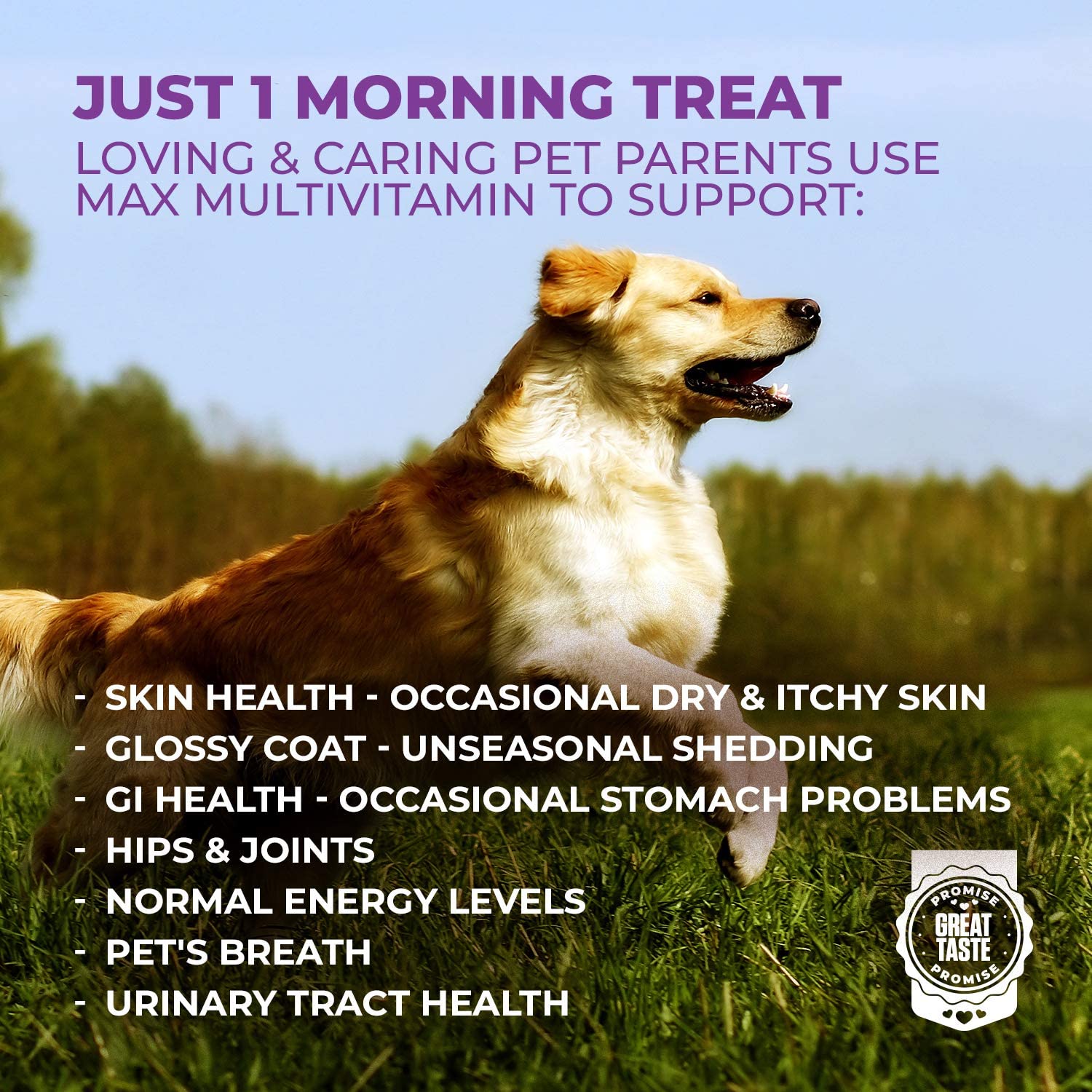 Mighty Petz MAX: piel y pelaje brillantes gracias a omega-3 y biotina.