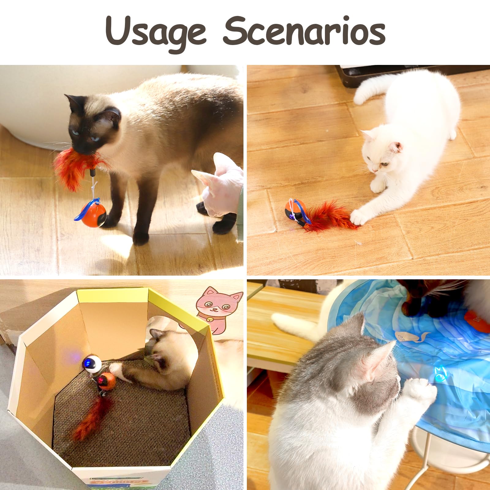 Migipaws balle lumineuse en mouvement éveille les réflexes de poursuite.