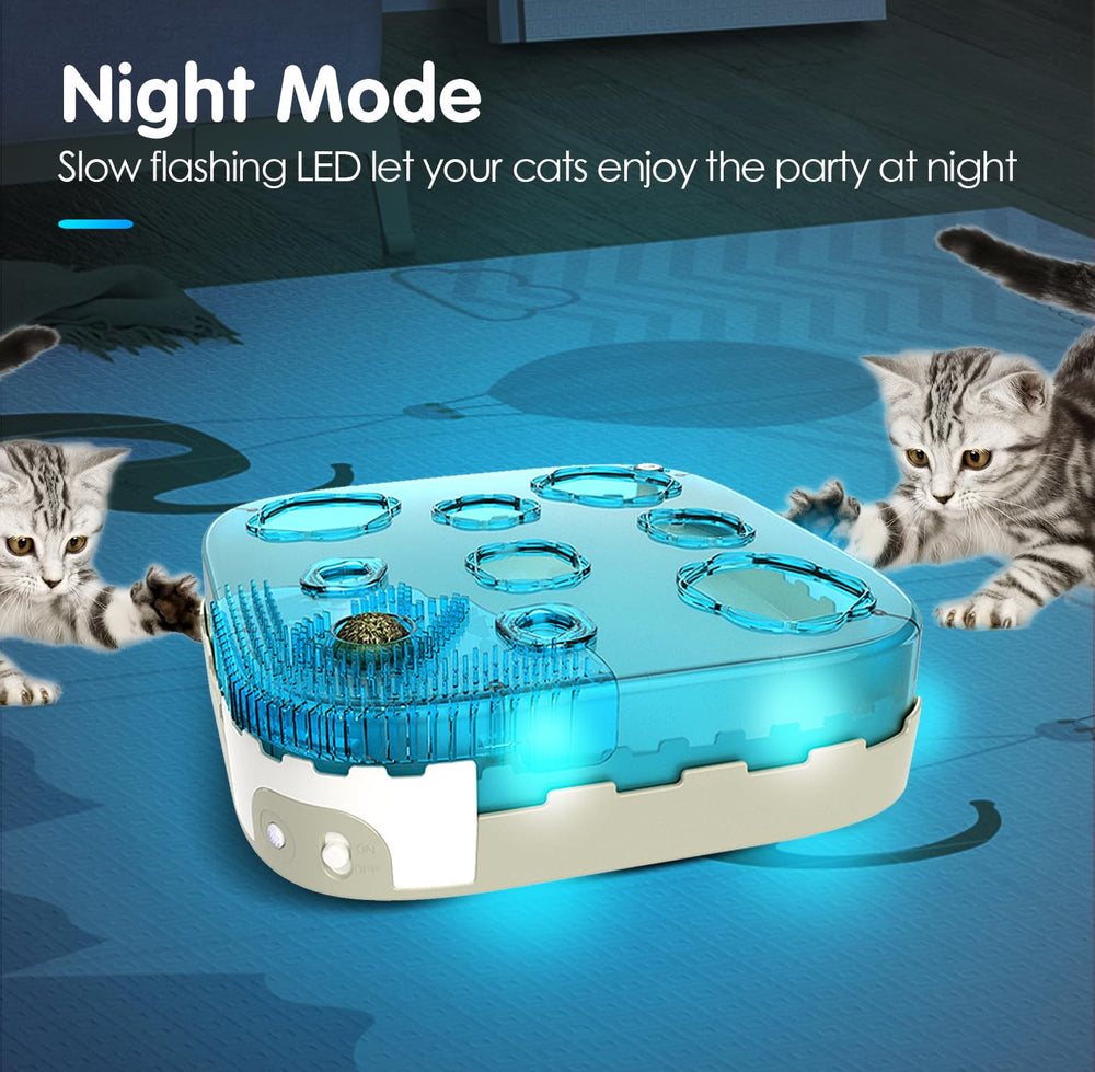 Migipaws: casa de cartón montable para descansar seguro