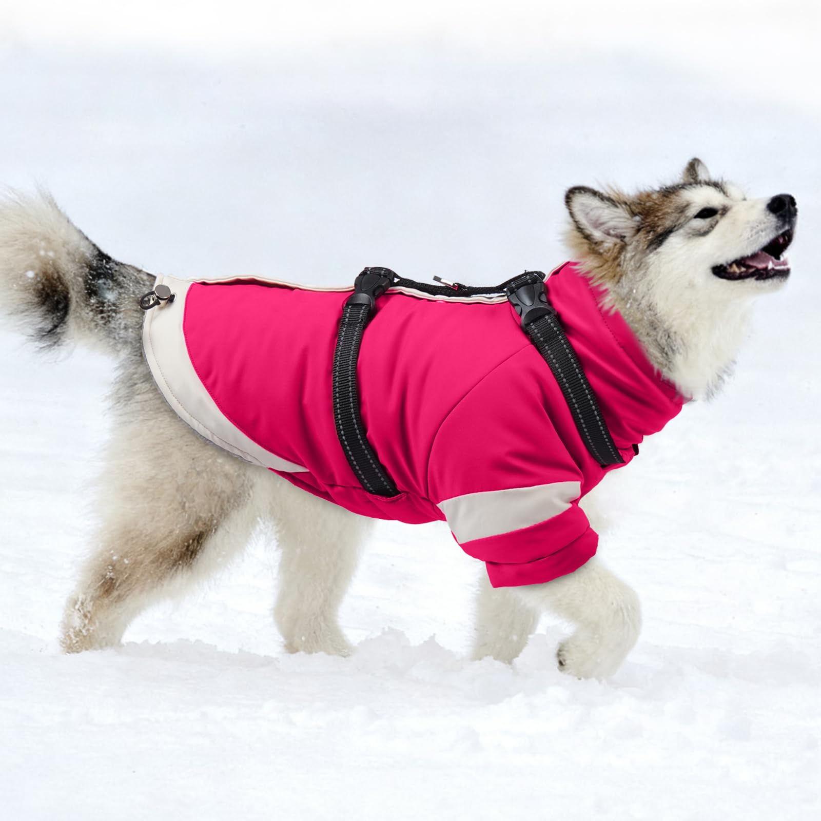 MIGOHI chaqueta-nieve con ajuste de tallas para diversas razas