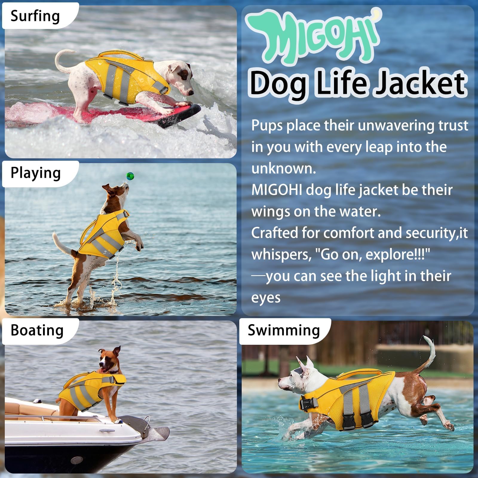 Perro nadando con chaleco MIGOHI para usos en natación y paseo acuático.