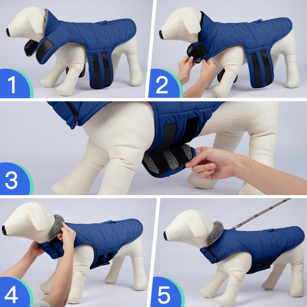 MIGOHI disponible en seis tallas para perros desde razas pequeñas a grandes.