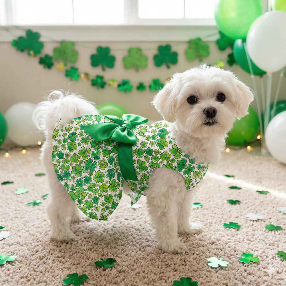 Miiemiu vestido para sesiones de fotos del Día de San Patricio.