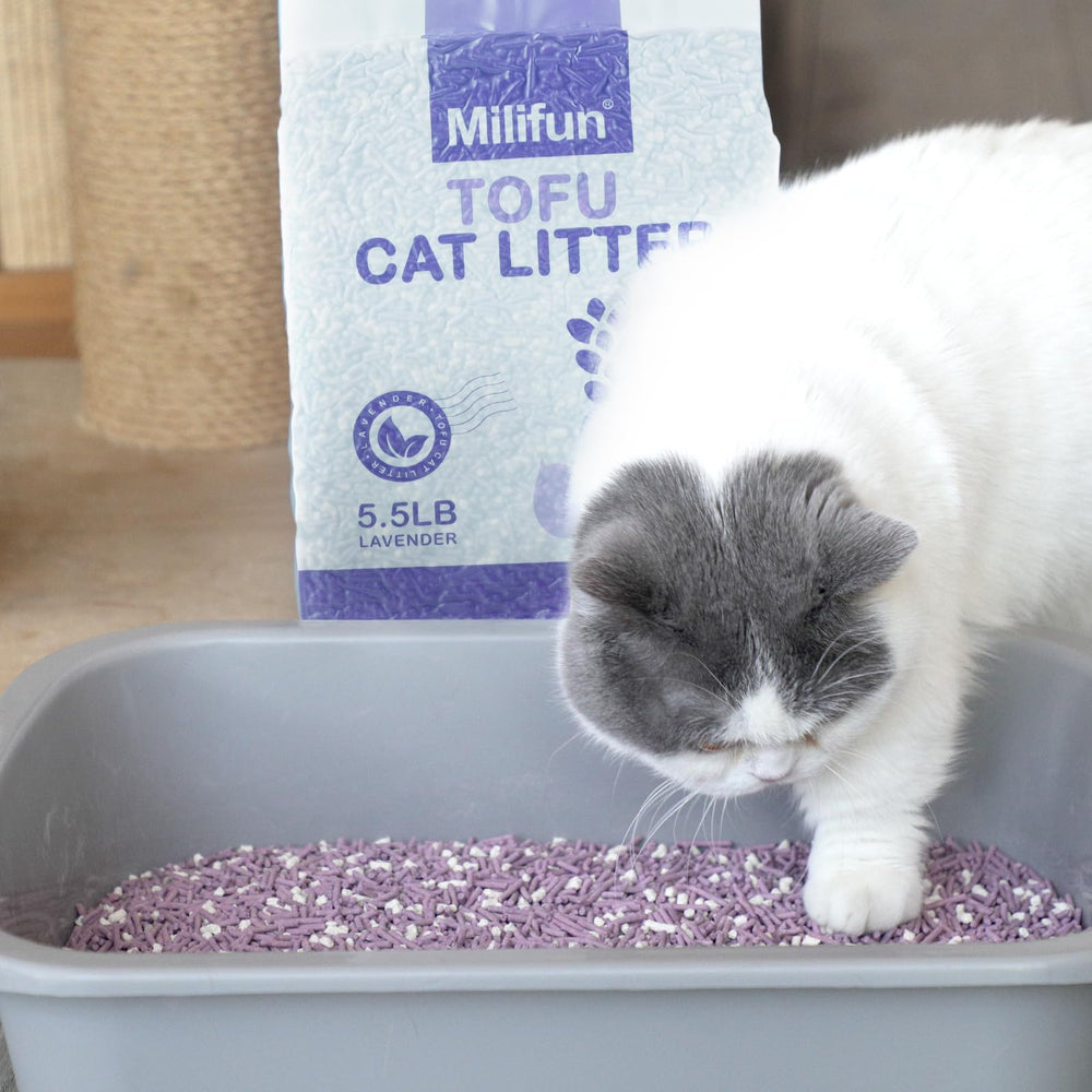 MILIFUN Tofu Litter sin rastro evita que la arena se dispersa por el suelo.