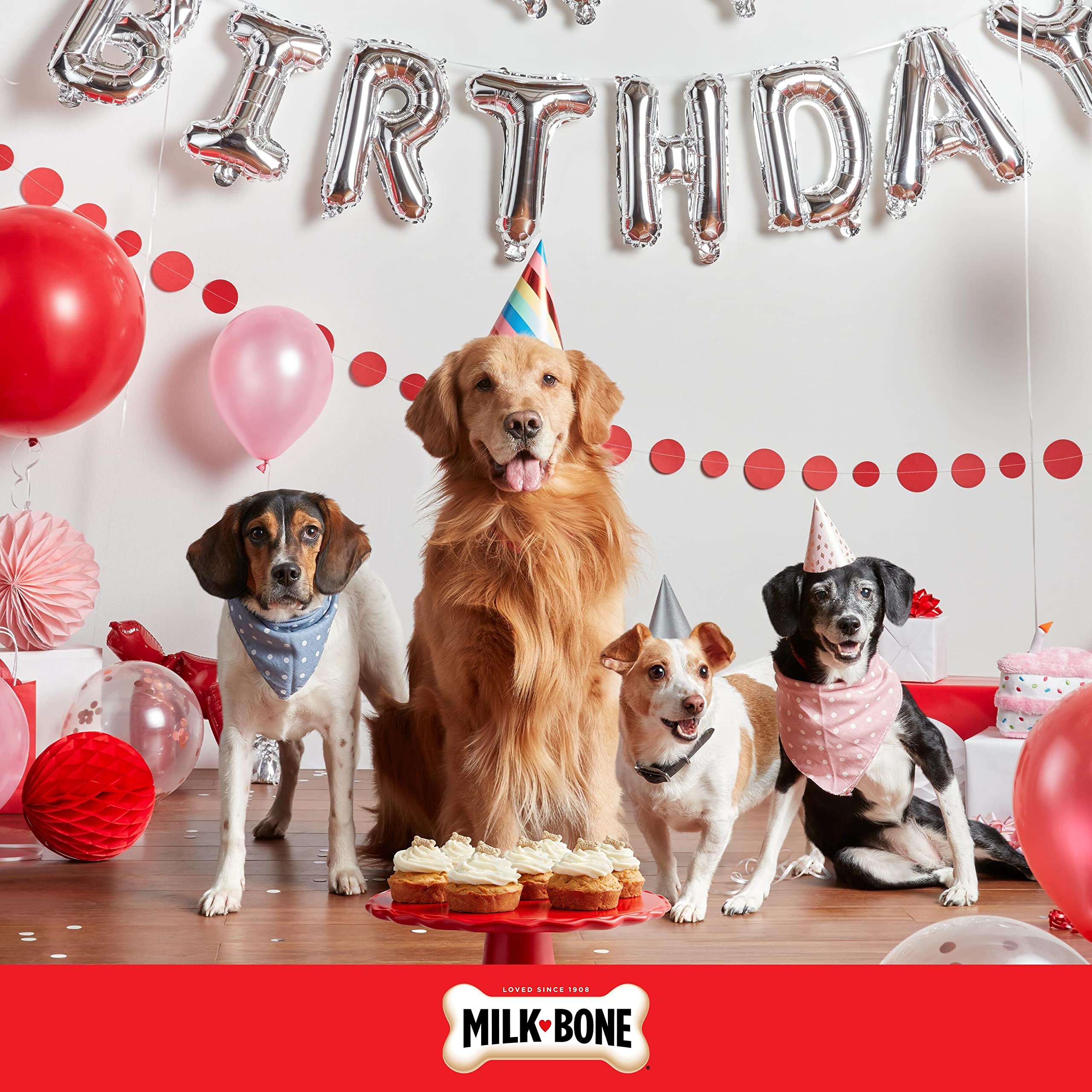 Milk-Bone Celebrate perfecto como regalo para fiestas caninas.