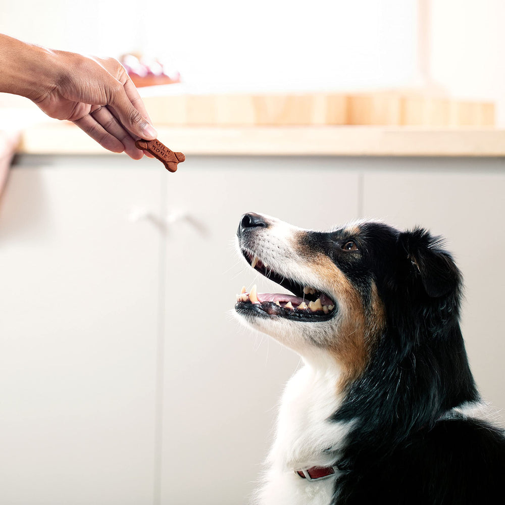 Milk-Bone fabricado en EE.UU., calidad y cuidado en cada bocado