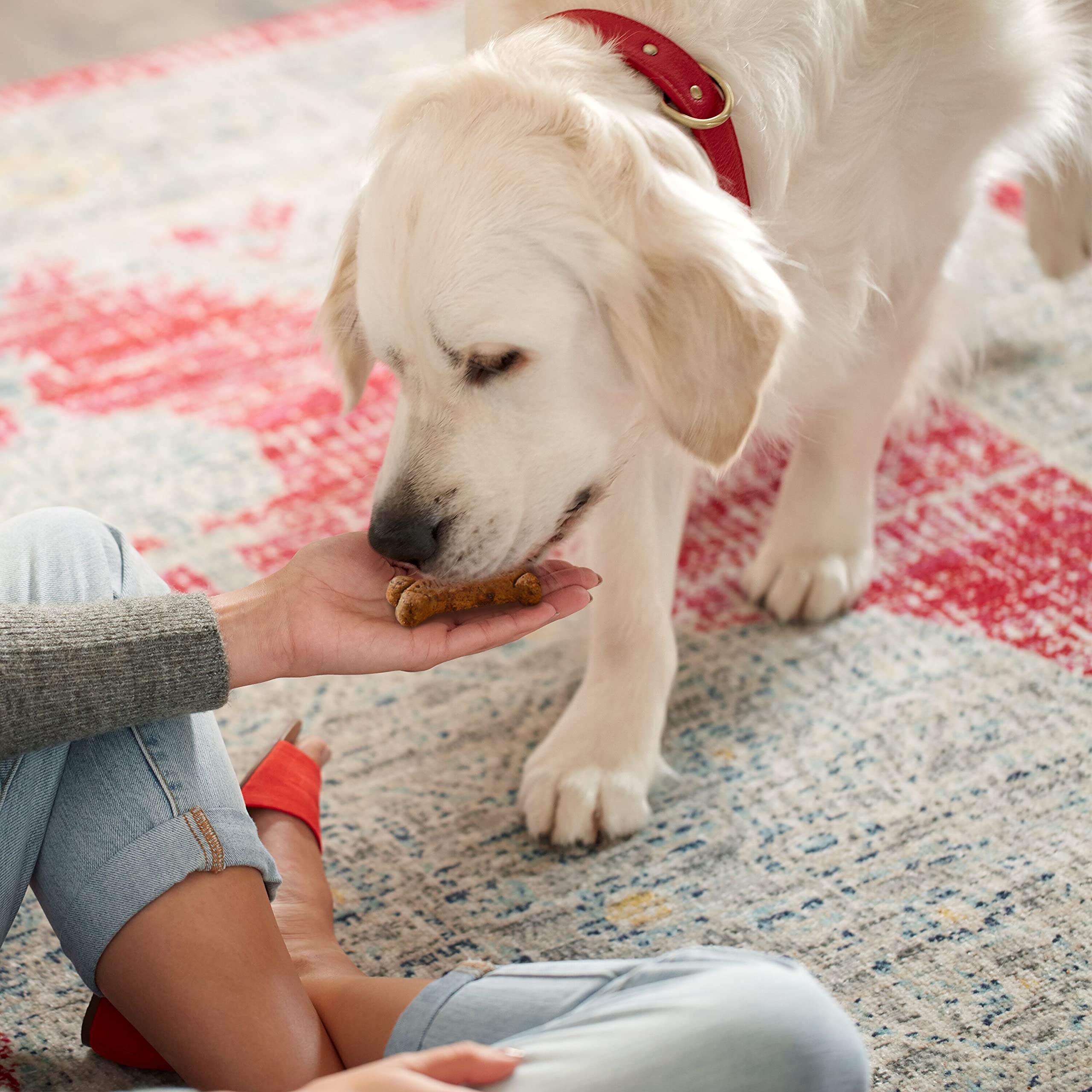 Milk-Bone Gravy Bones envase de 7 libras para varias sesiones.