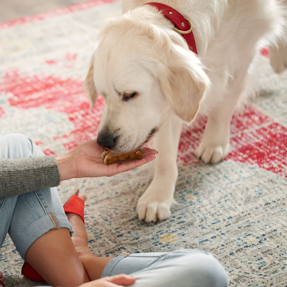 Milk-Bone Gravy Bones envase de 7 libras para varias sesiones.
