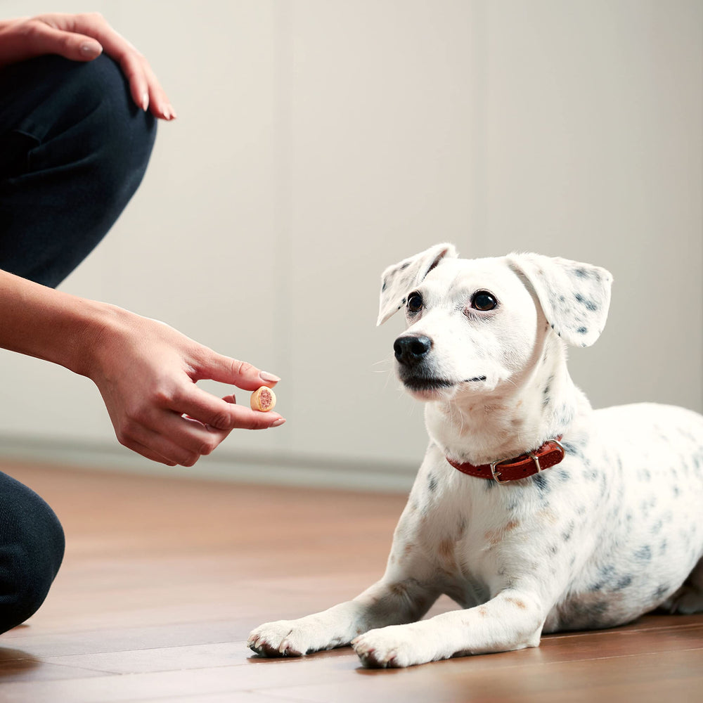 Milk-Bone MaroSnacks: apto para perros de todas las tallas.