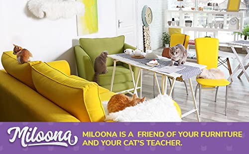 Empaque práctico de Miloona para protección de muebles
