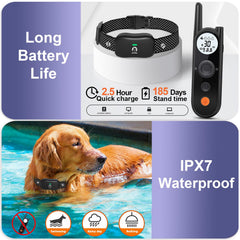 Collar resistente al agua IPX7 para cualquier clima y juego al exterior.