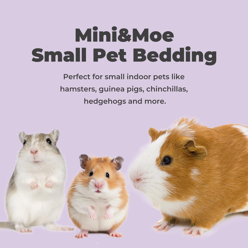 mini-moe lecho 50L ambiente limpio y cómodo para jaula