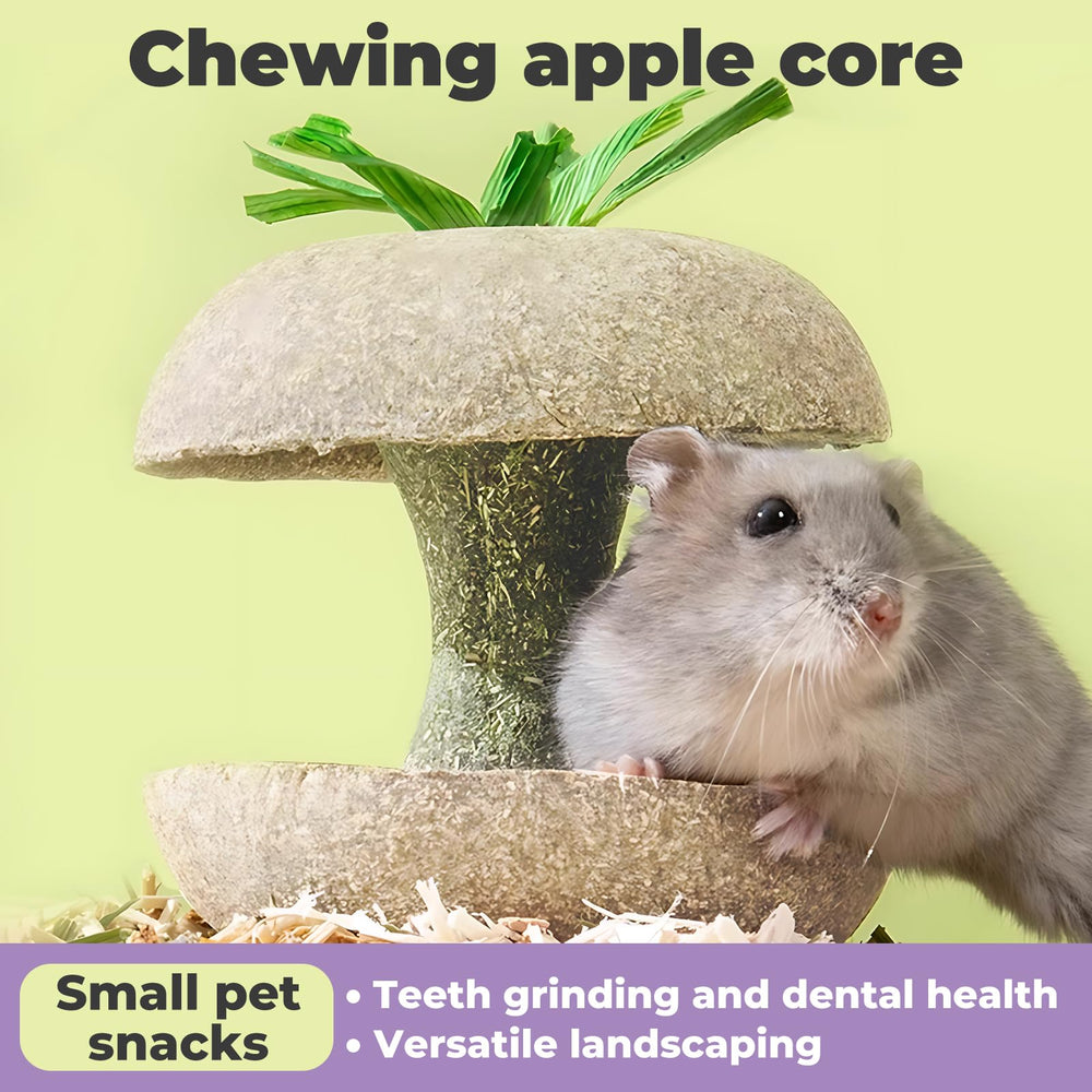 mini-moe snack natural para roedores, funciona como recompensa y entretenimiento.