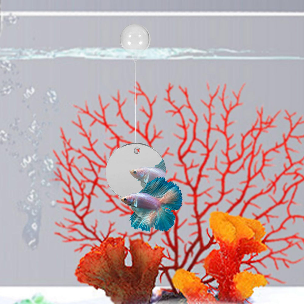 Conjunto para acuario betta de MinrzPet, ejercicio y entretenimiento diario.