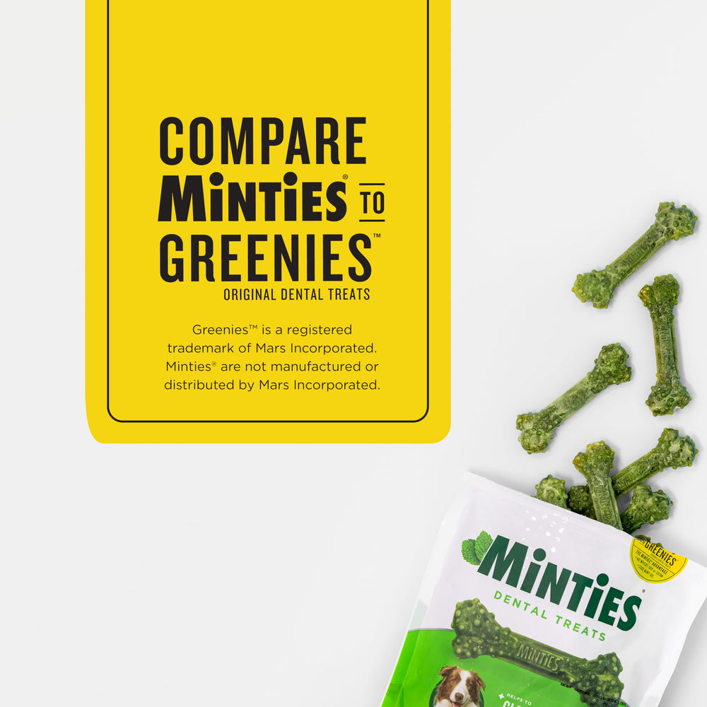 Minties Aliento Fresco para Perro con sabor a menta