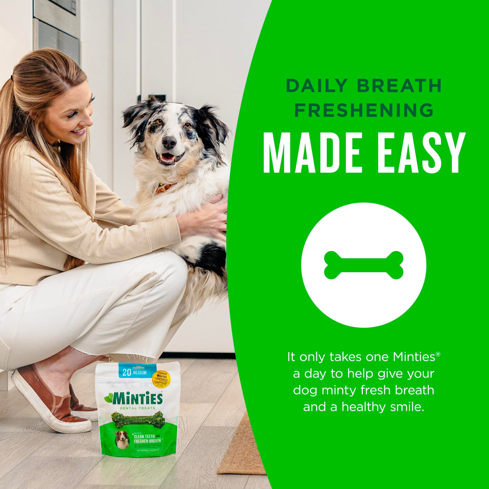 Minties aromas herbales: menta, perejil y hinojo para la experiencia dental.