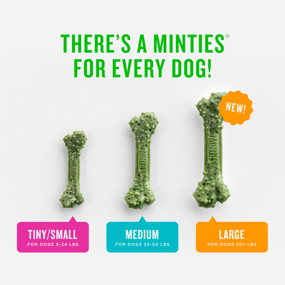 Minties dental chews: textura dura para masticar y favorecer la limpieza dental.