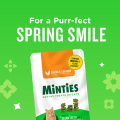 Minties cat dental treats providing breath freshening effect after meals