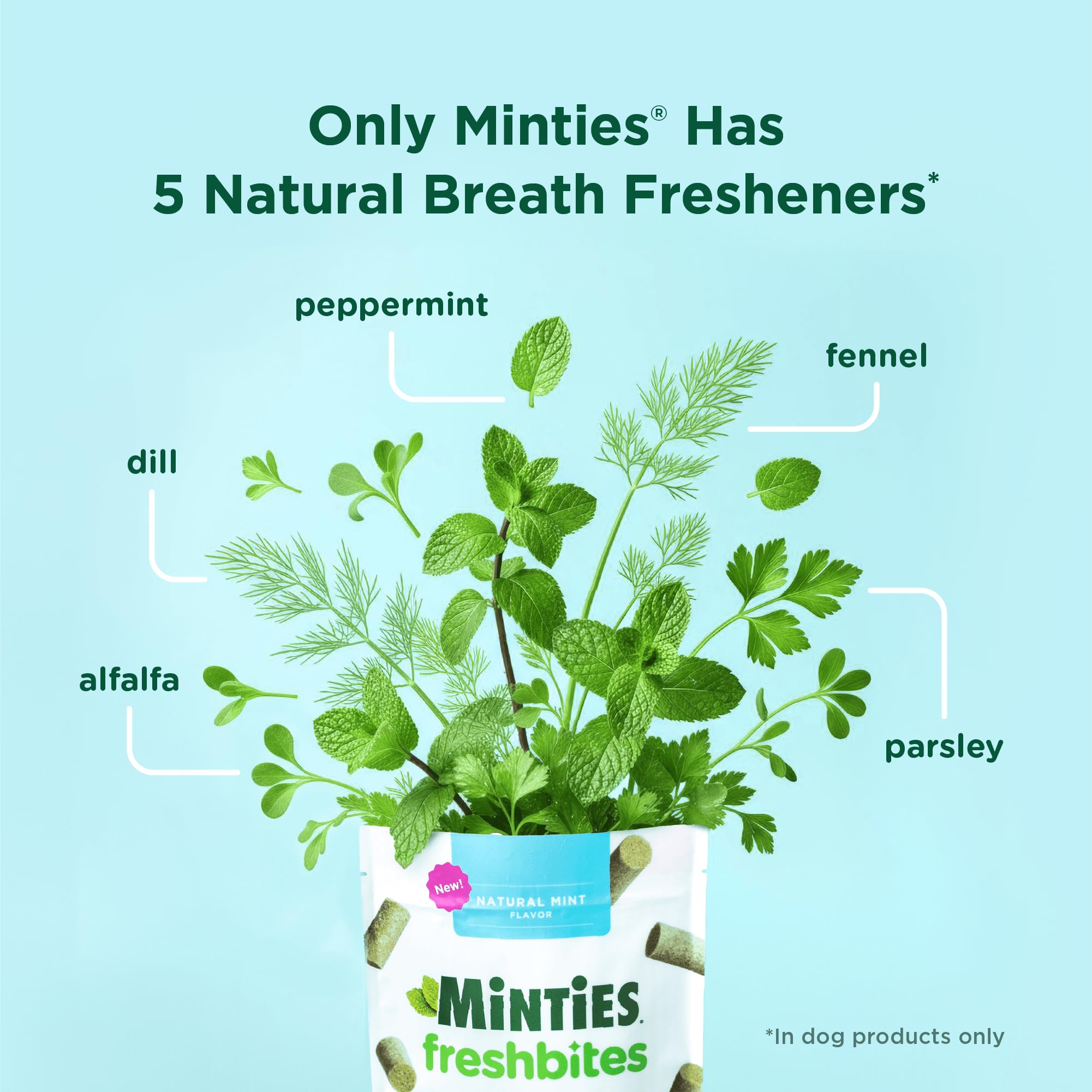 Minties FreshBites sabor pollo natural que conquista paladares exigentes.