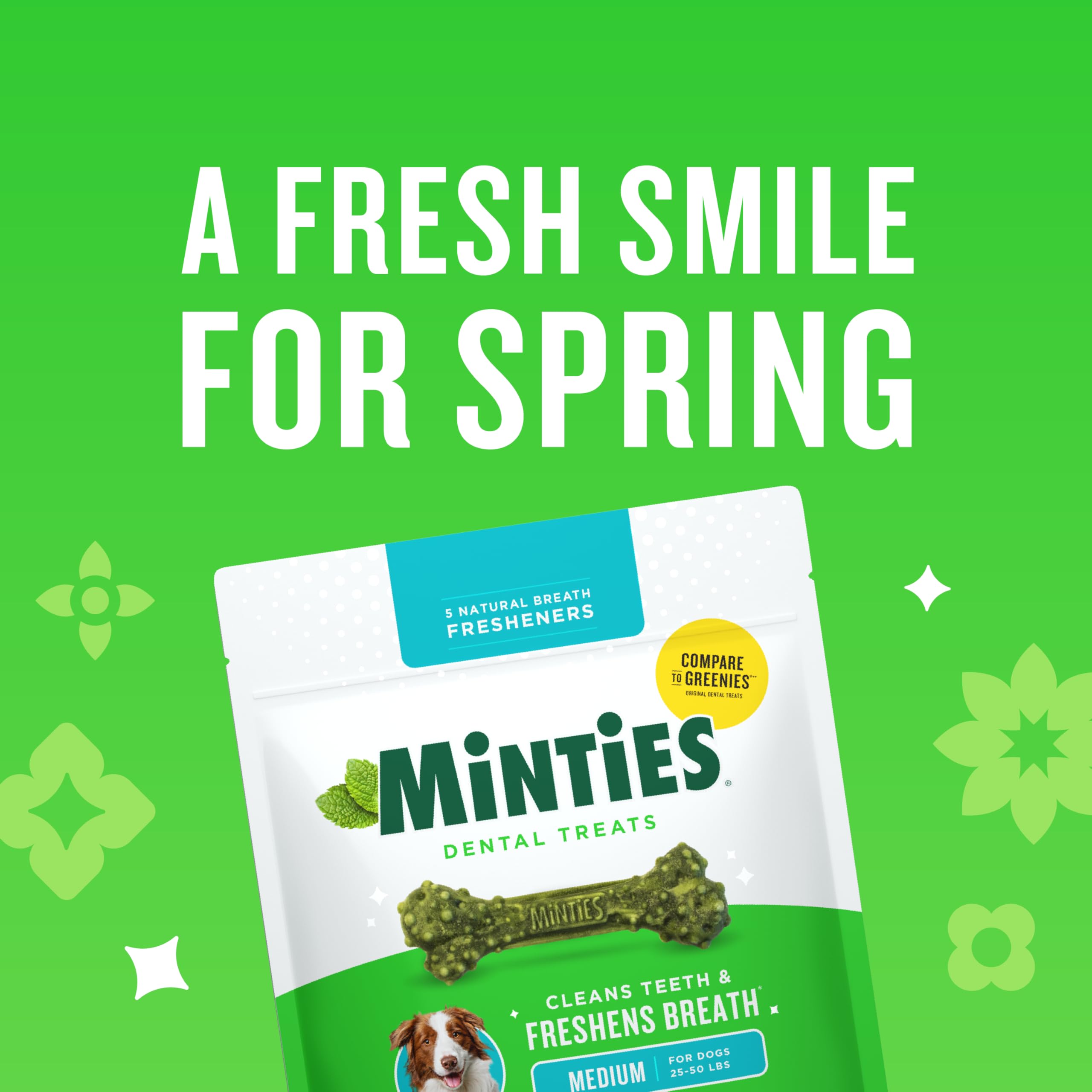 Minties golosinas dentales para perros, sin trigo, mejor aliento.