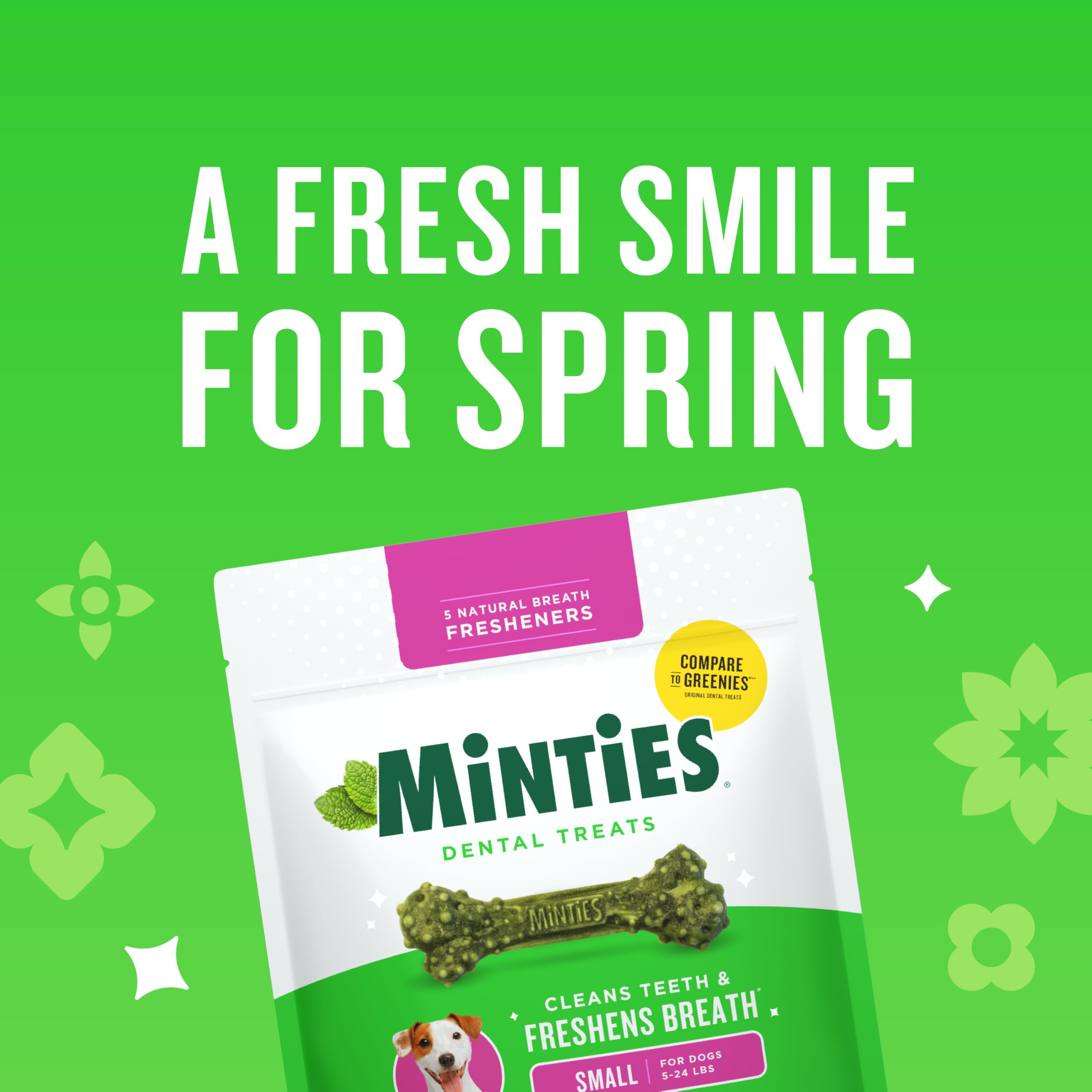 Minties: hueso dental para perro pequeño, textura que ayuda a limpiar al masticar.