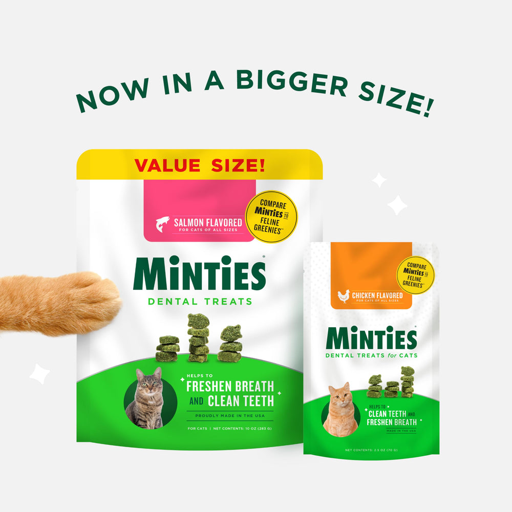 Textura crujiente de Minties para la limpieza dental de gatos