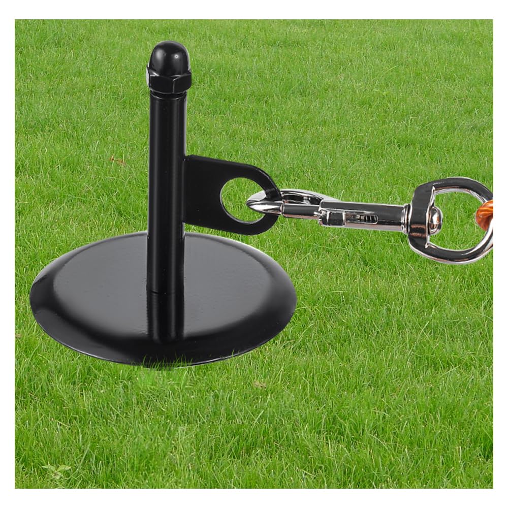 Mi PupJoy estaca para perro con rotación 360 grados, evitando enredos durante el paseo.