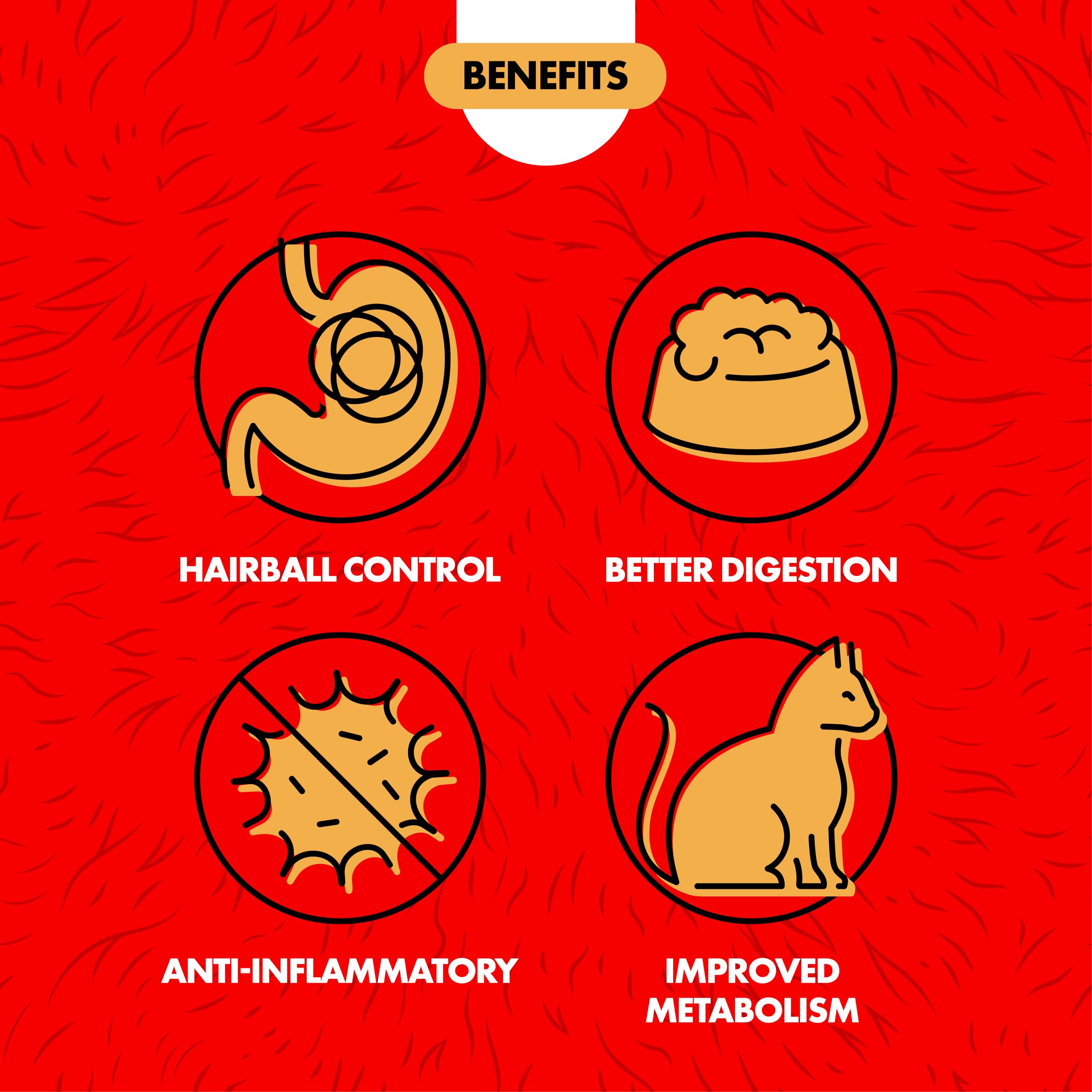 Kit de hierba Miracle Care para gatos, crecimiento rápido en casa.