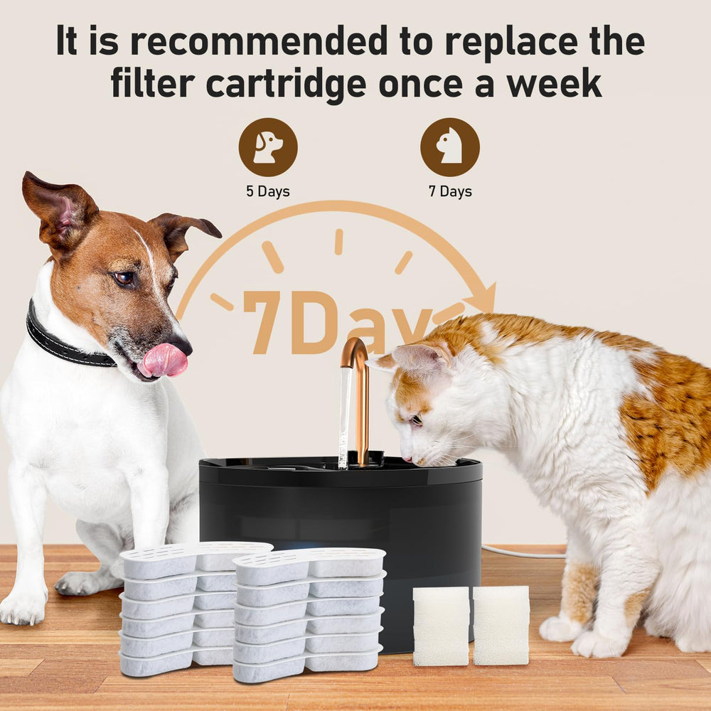 MISFANS agua más pura para gatos gracias a este filtro de alta calidad