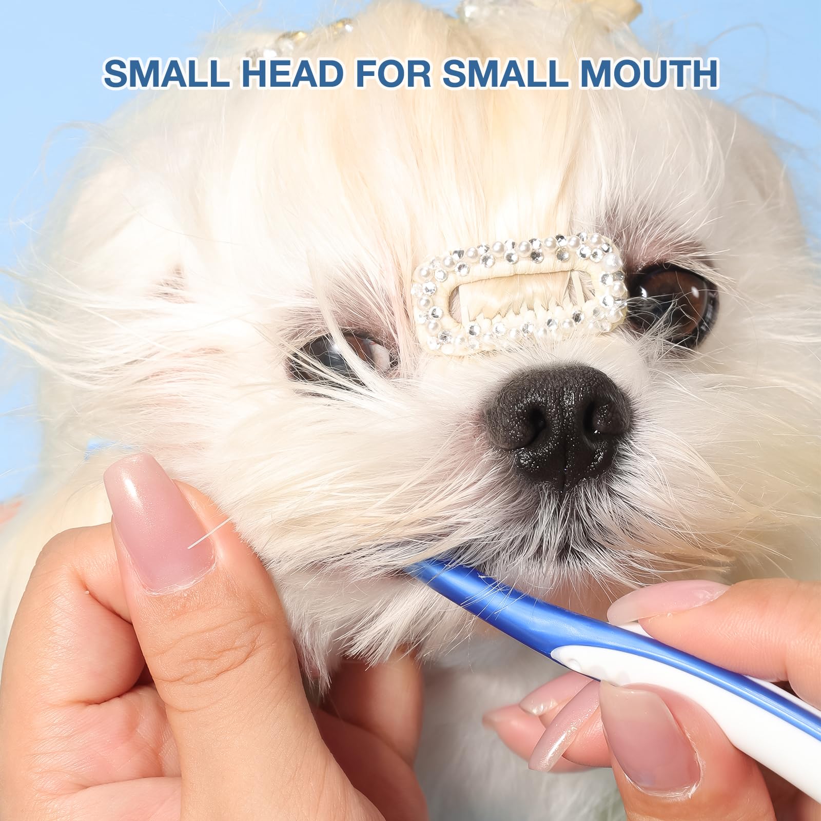 MISSELF cepillo pequeño para perros y gatos, tamaño ideal para bocas sensibles.