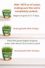 Mister Green Pet Cat Grass Grow Kit – grama fresca para gatos dentro de casa