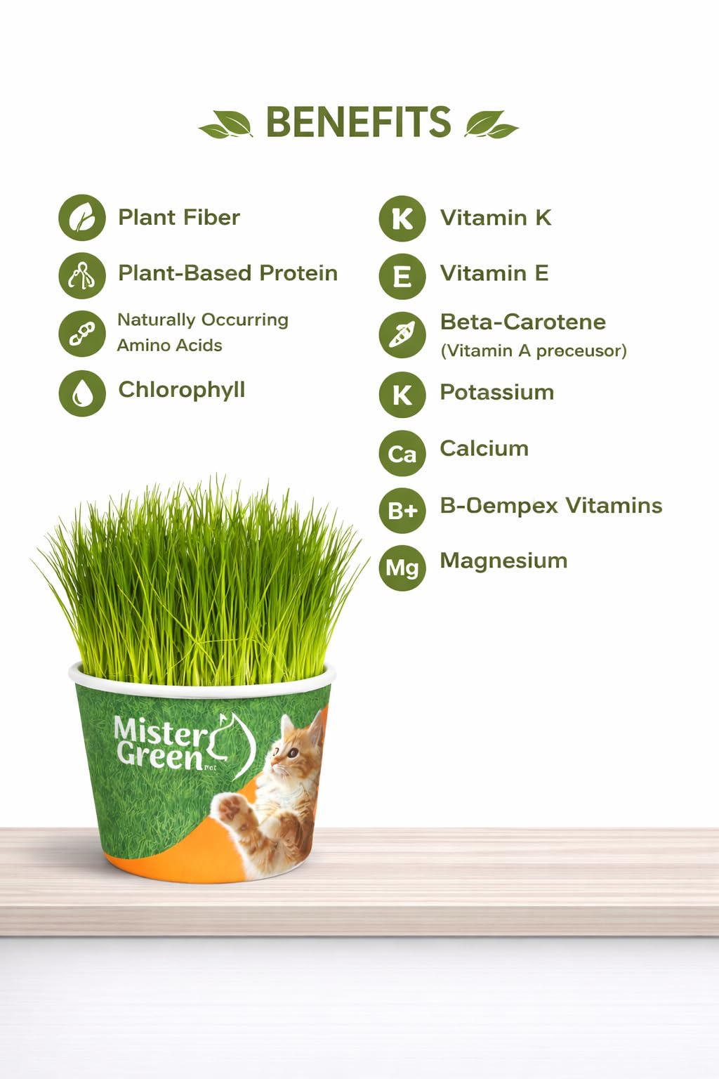Mister Green Pet Cat Grass Grow Kit – substrato natural para crecimiento sano