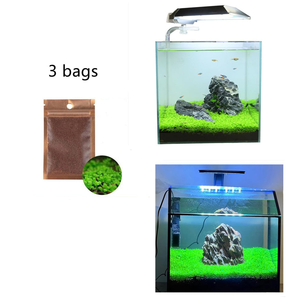MISUHALOU planta de acuario ideal para acuarios pequeños y medianos