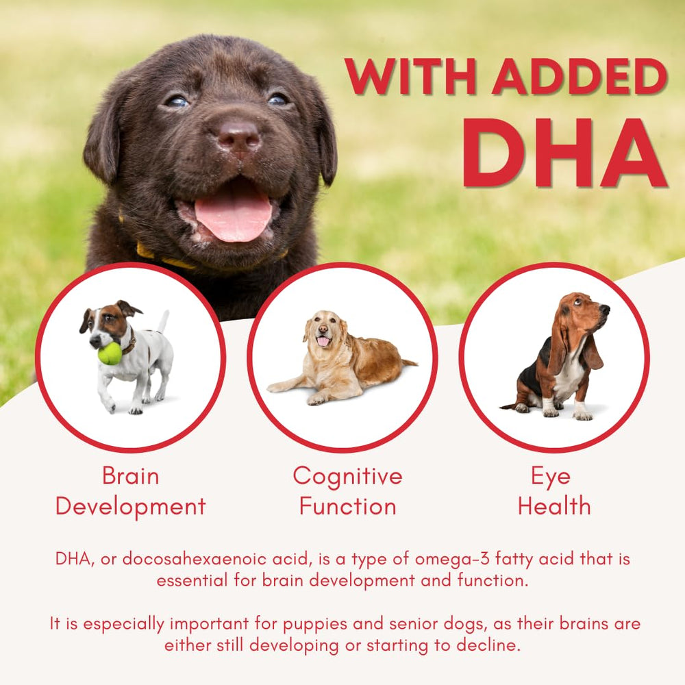 Fórmula con Omega 3, 6 y 9 en Mitey Mini Chews para apoyo nutricional canino.