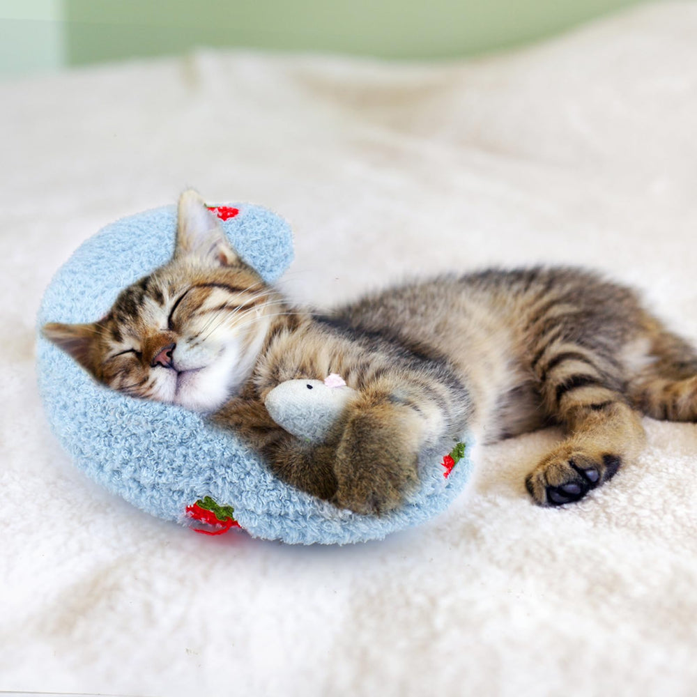 Soporte de descanso para perros mayores con Mity Rain.