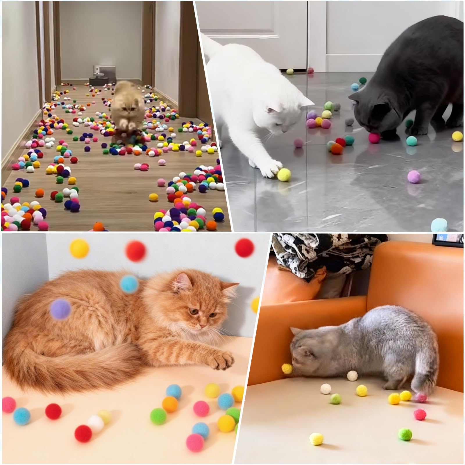Regalo ideal para gatos: diversión continua con Mity Rain en casa.