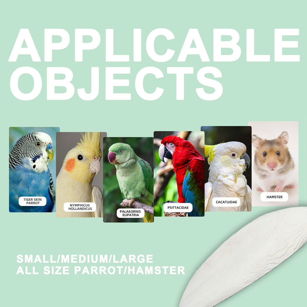 Hueso de calamar para aves diversas, compatible con varias especies.