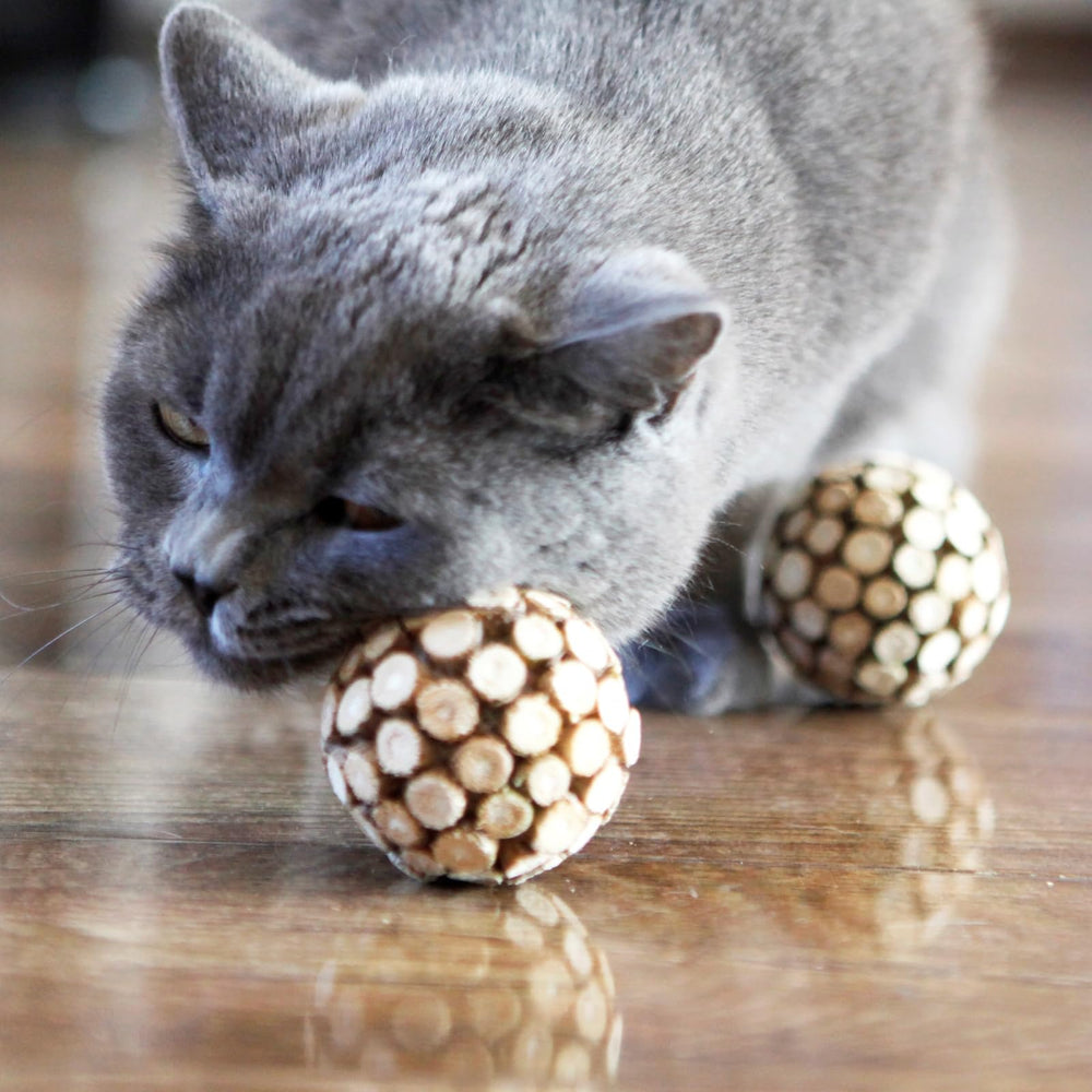Miwoowim bola con materiales naturales, segura para gatos de todas las edades