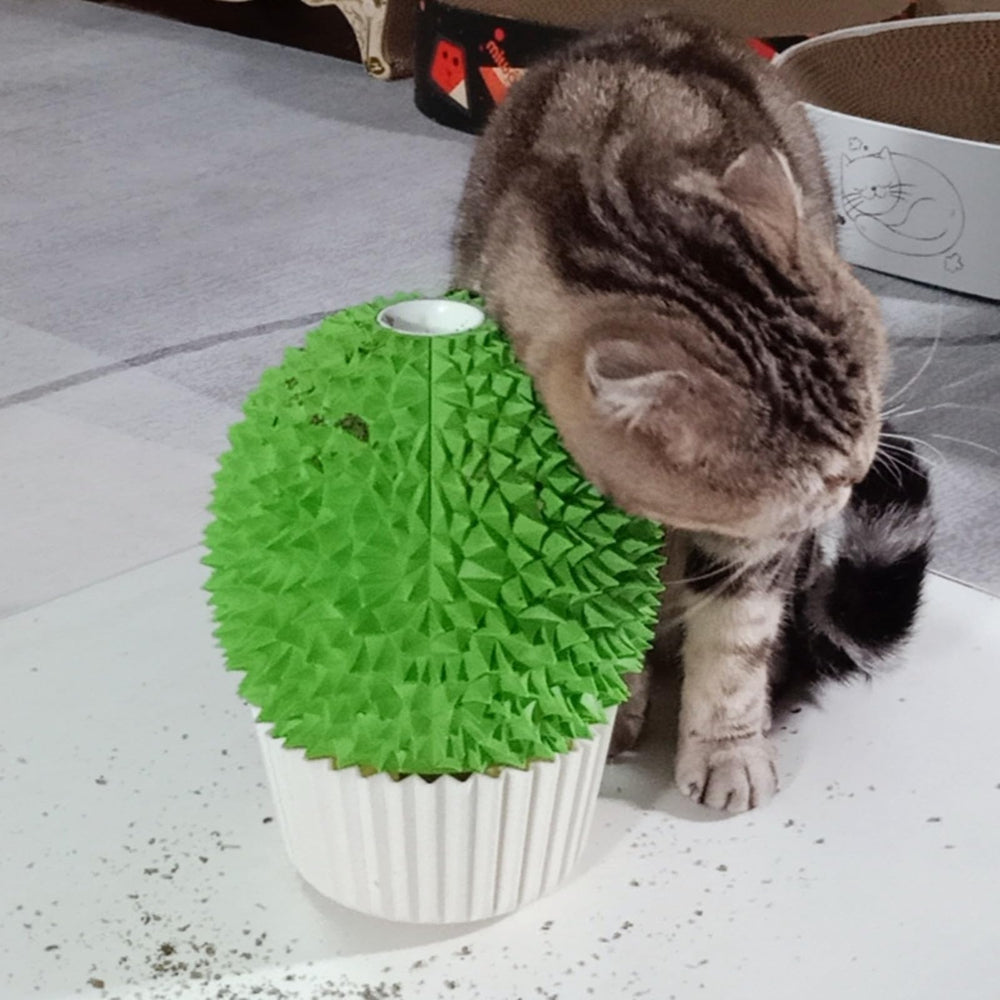 Miwoowim cepillo de autocuidado para gatos, facilita un acicalamiento suave.